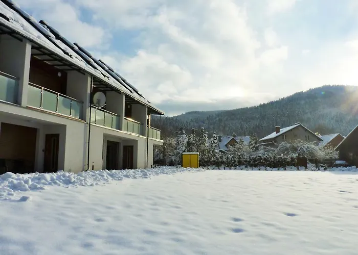 Z Liskiem * שצ'צ'ירק